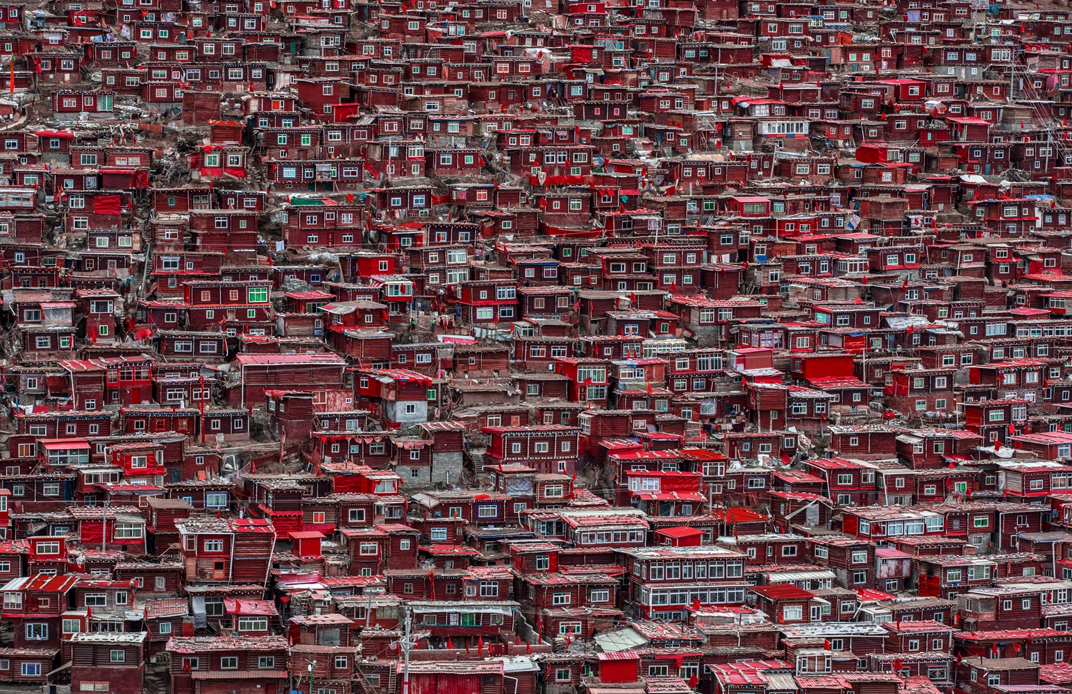 Red houses