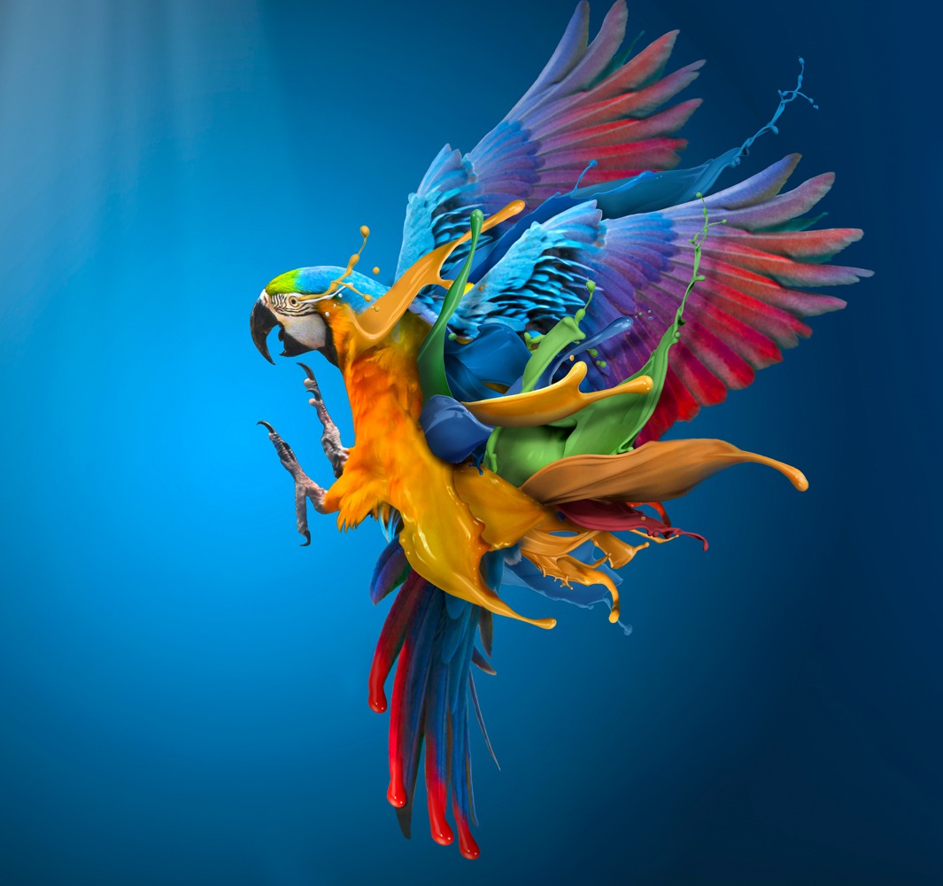 Flying Colours