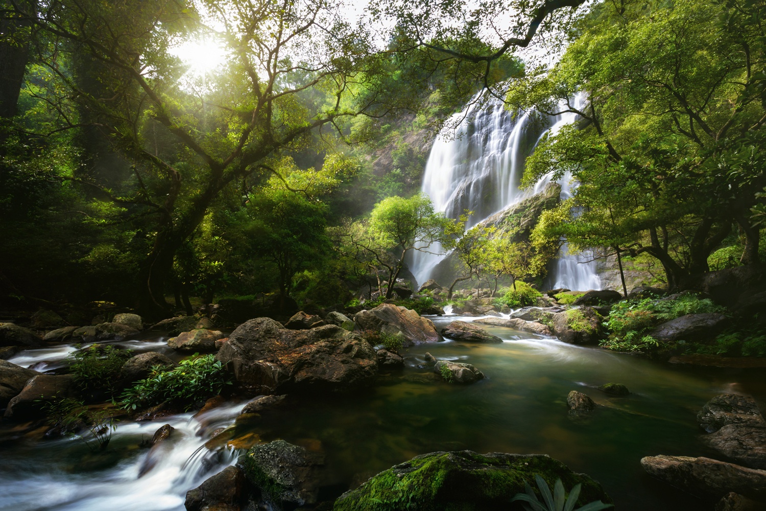 Mountain stream