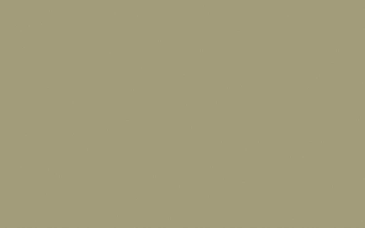 Portland Stone  -  Dark - Intelligent Matt Emulsion - 1 L