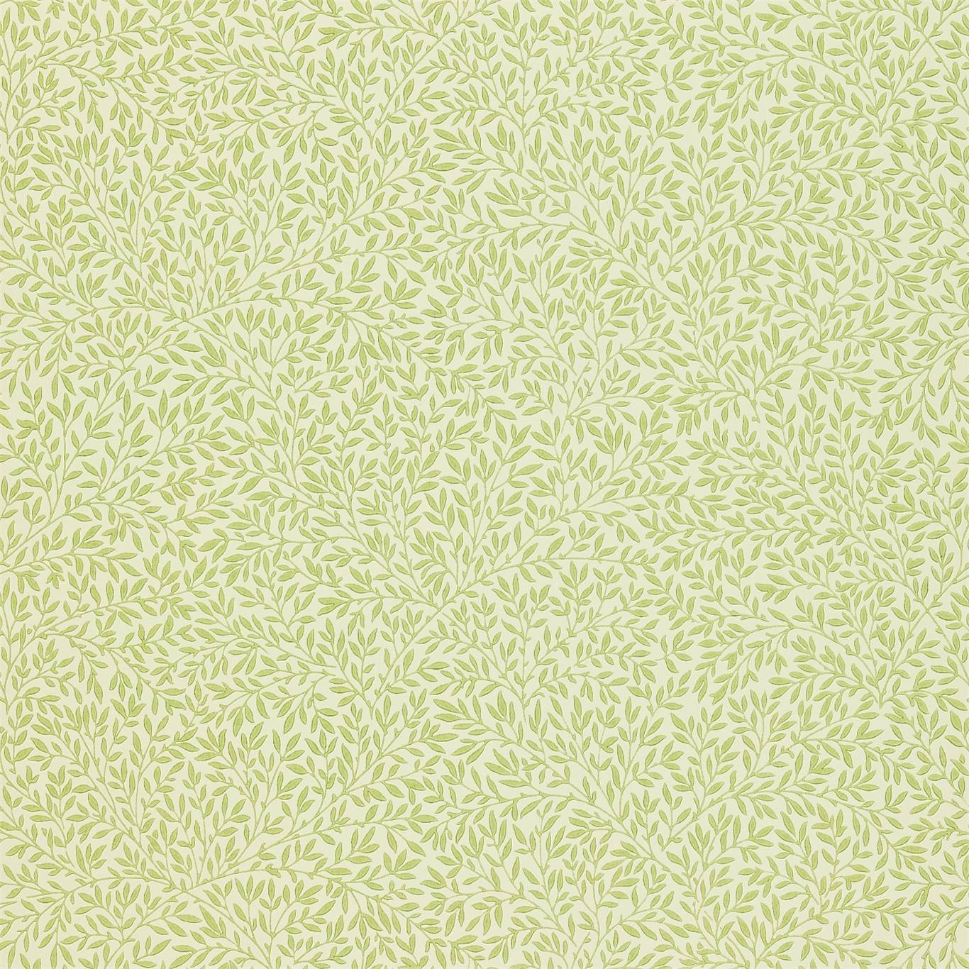 Standen - Fennel - Outlet