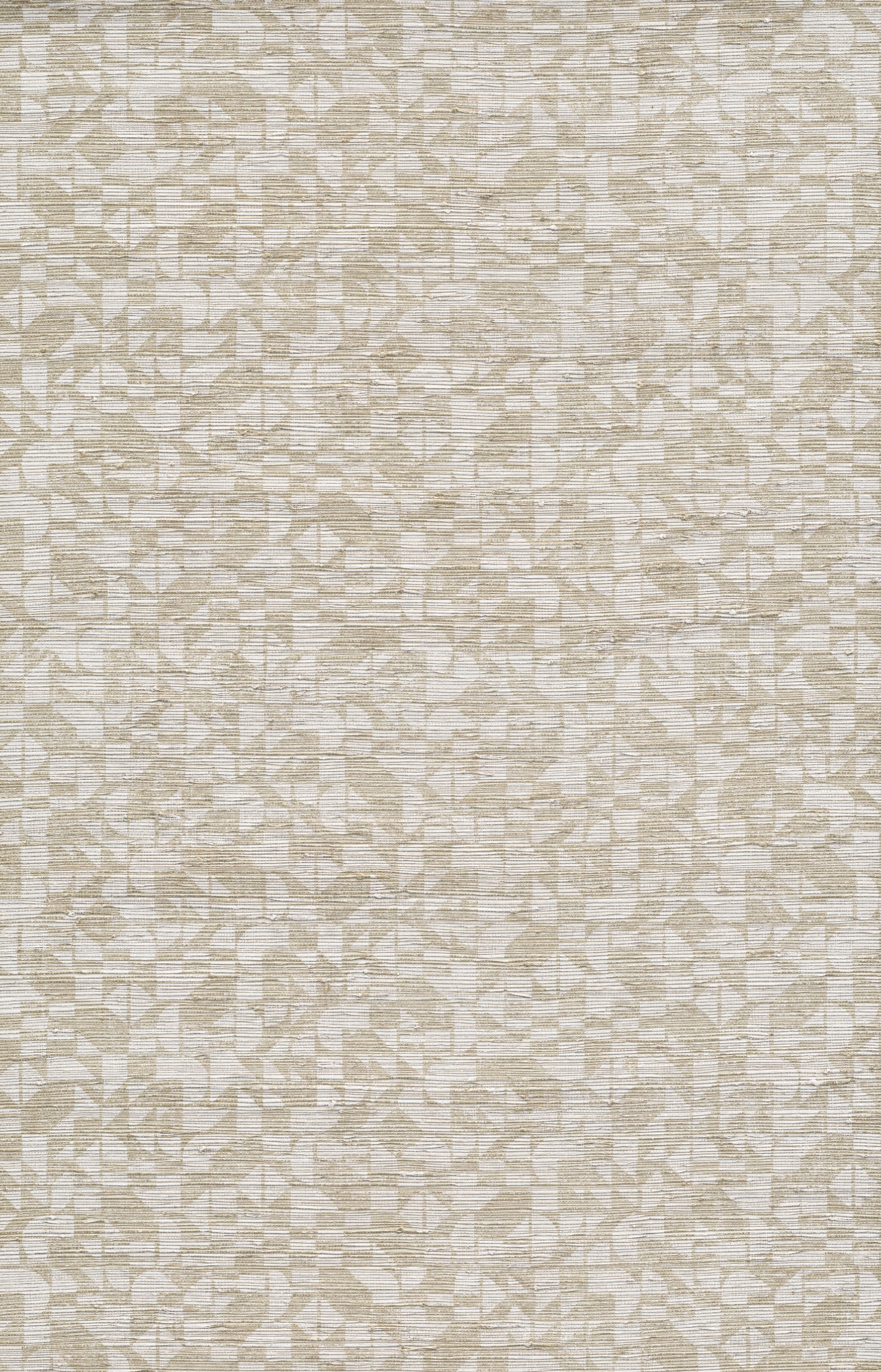 CYPERUS - Shell White