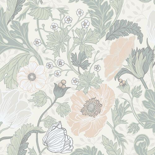 Anemone - Warm Light