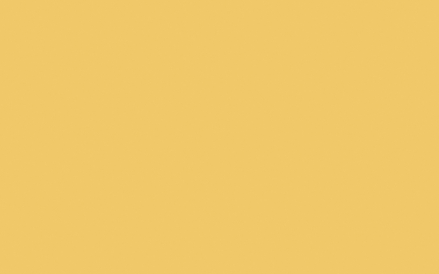 Giallo&trade; - Intelligent Matt Emulsion - 5 L