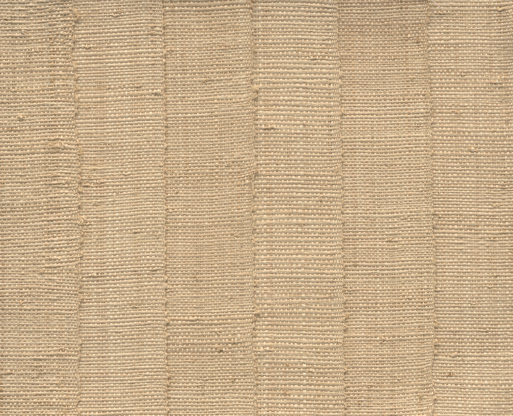 FARINI - Naturel