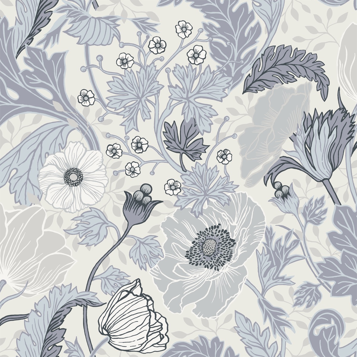 Anemone - White