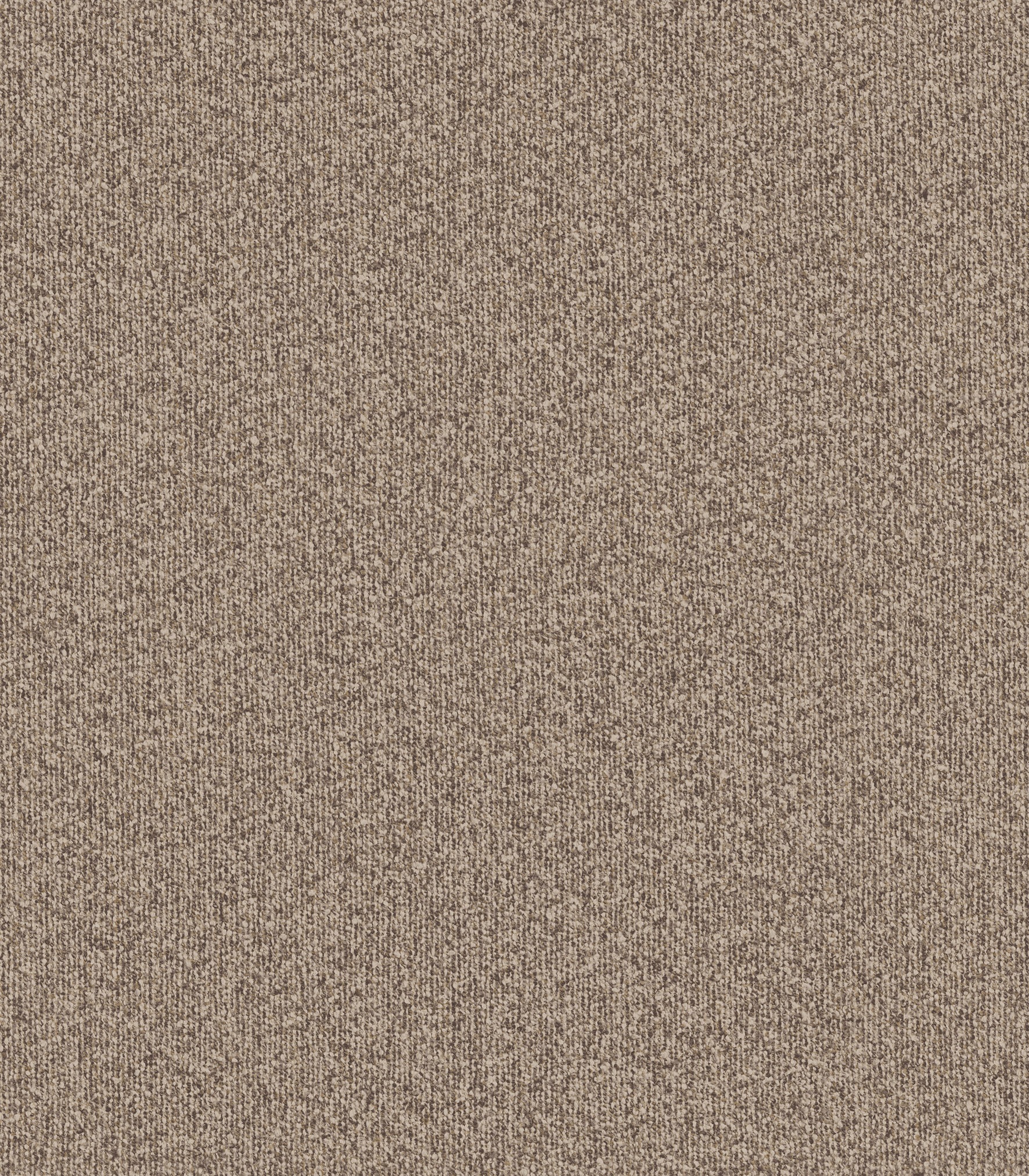 MONTAGNA - Cocoa