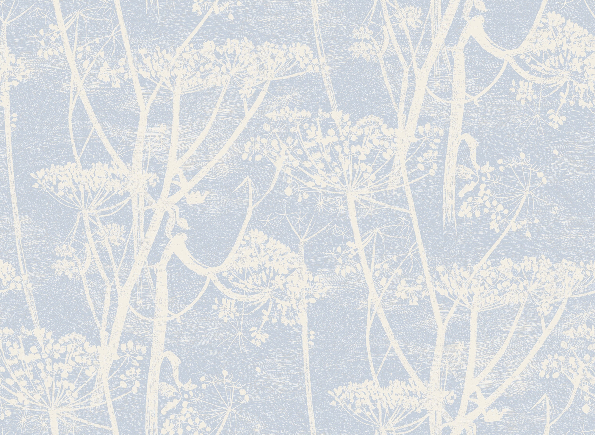 Cow Parsley - Light Blue