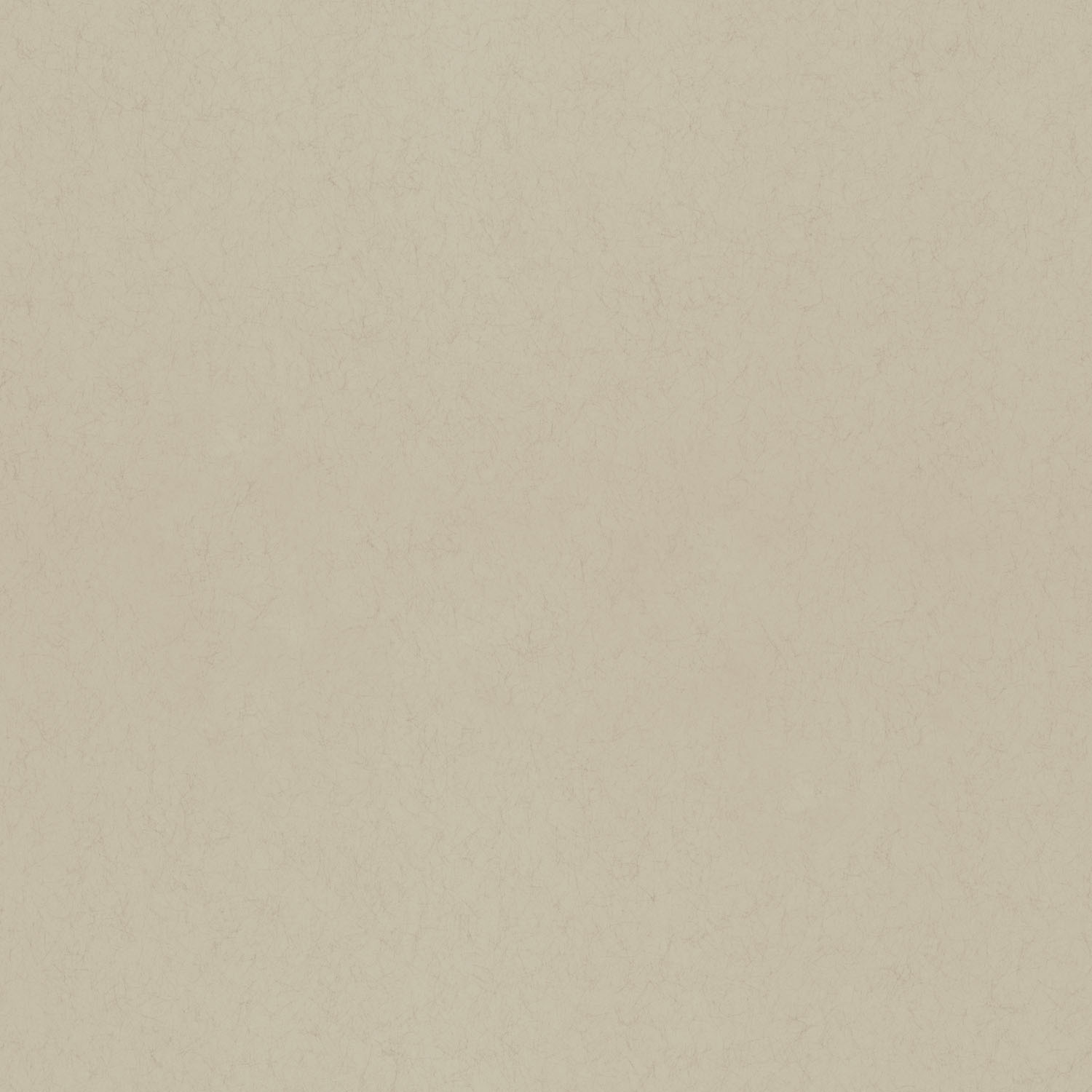 Anis - Warm Beige
