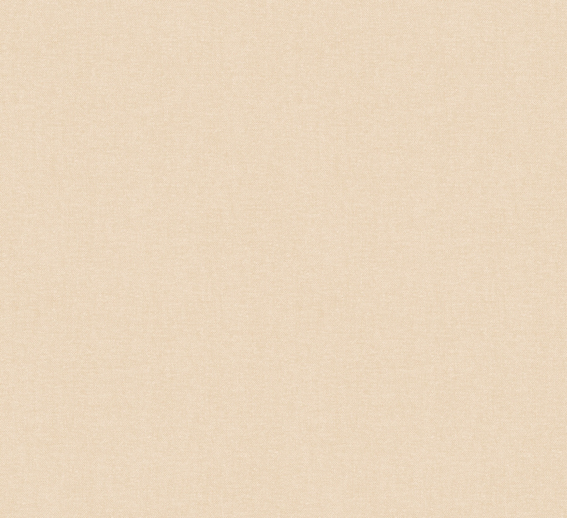 LIN - Canvas