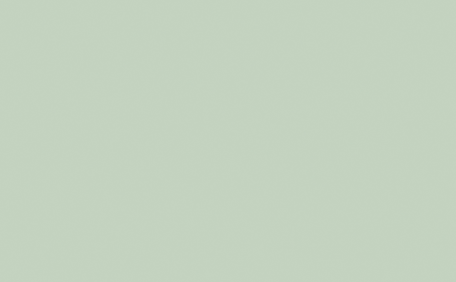Salix&trade; - Intelligent Matt Emulsion - 10 L