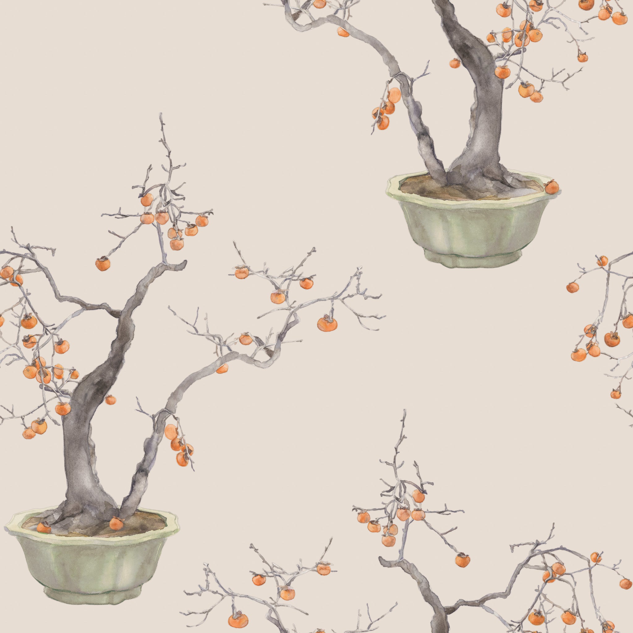 Kaki Persimmon - Violet Patina