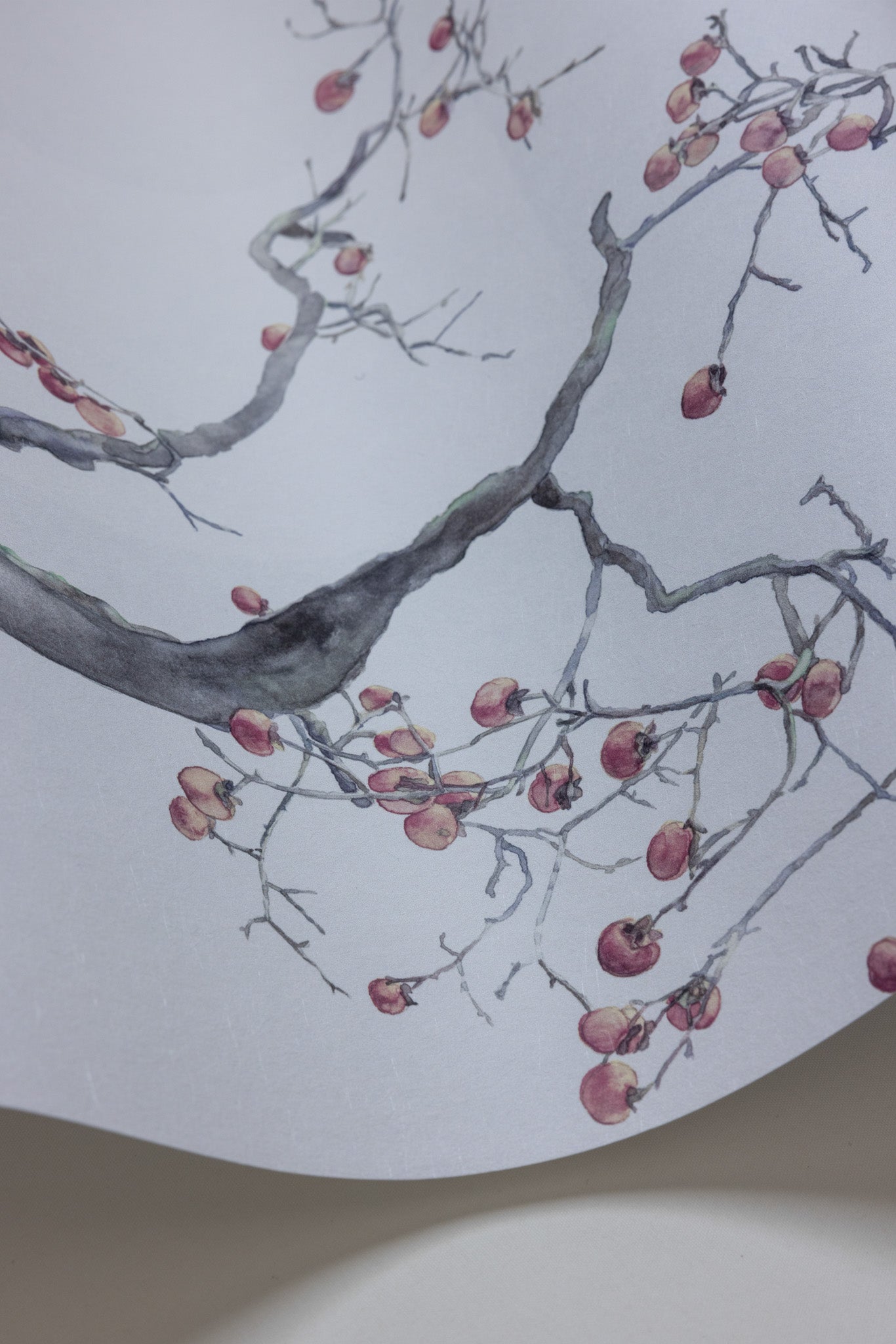Kaki Persimmon - Silver