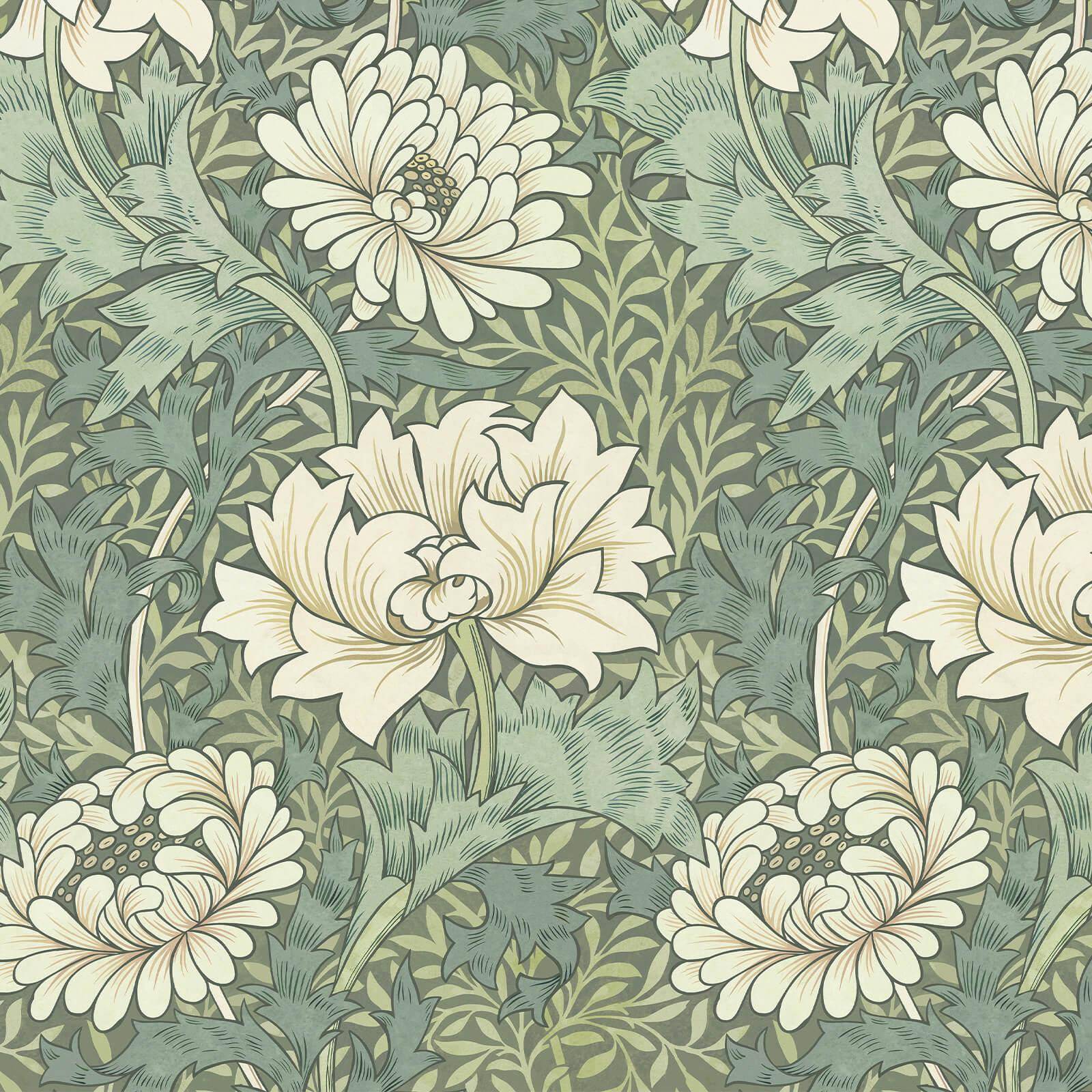 Chrysanthemum Magna tapet - Sap