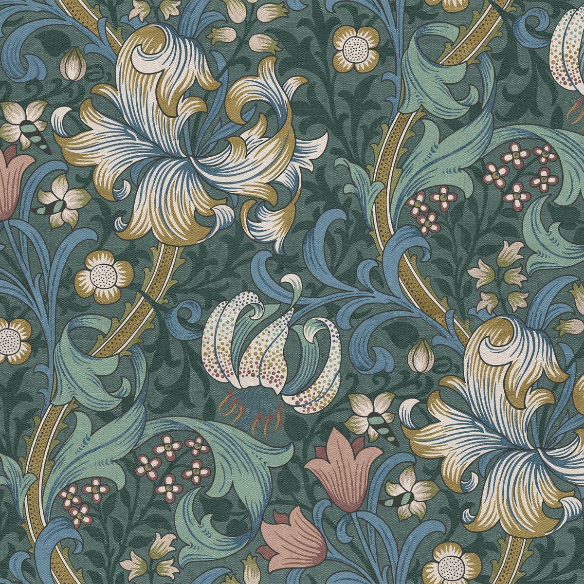 Golden Lily - Euphorbia - Tapetprøve