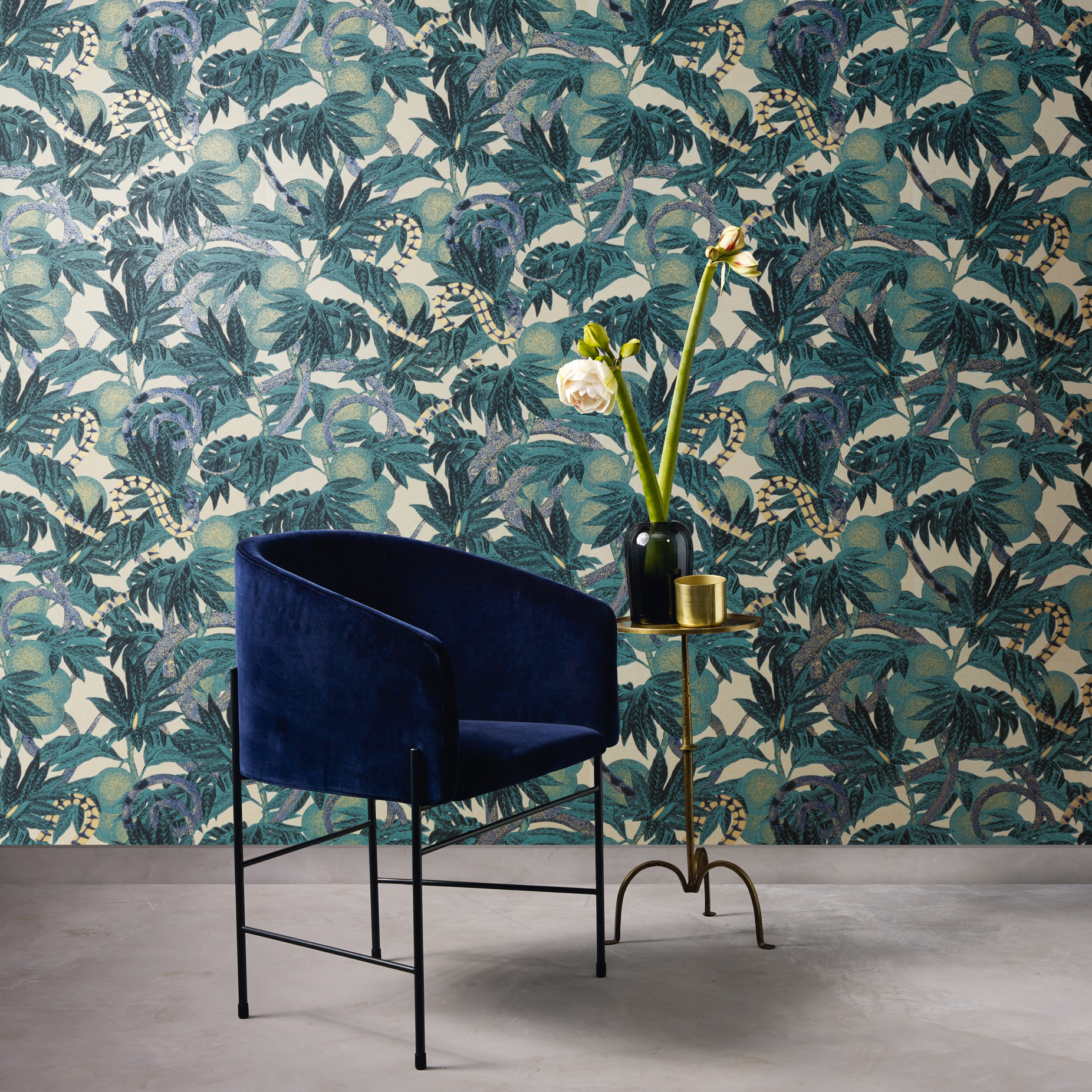 Equator - Peacock - Outlet