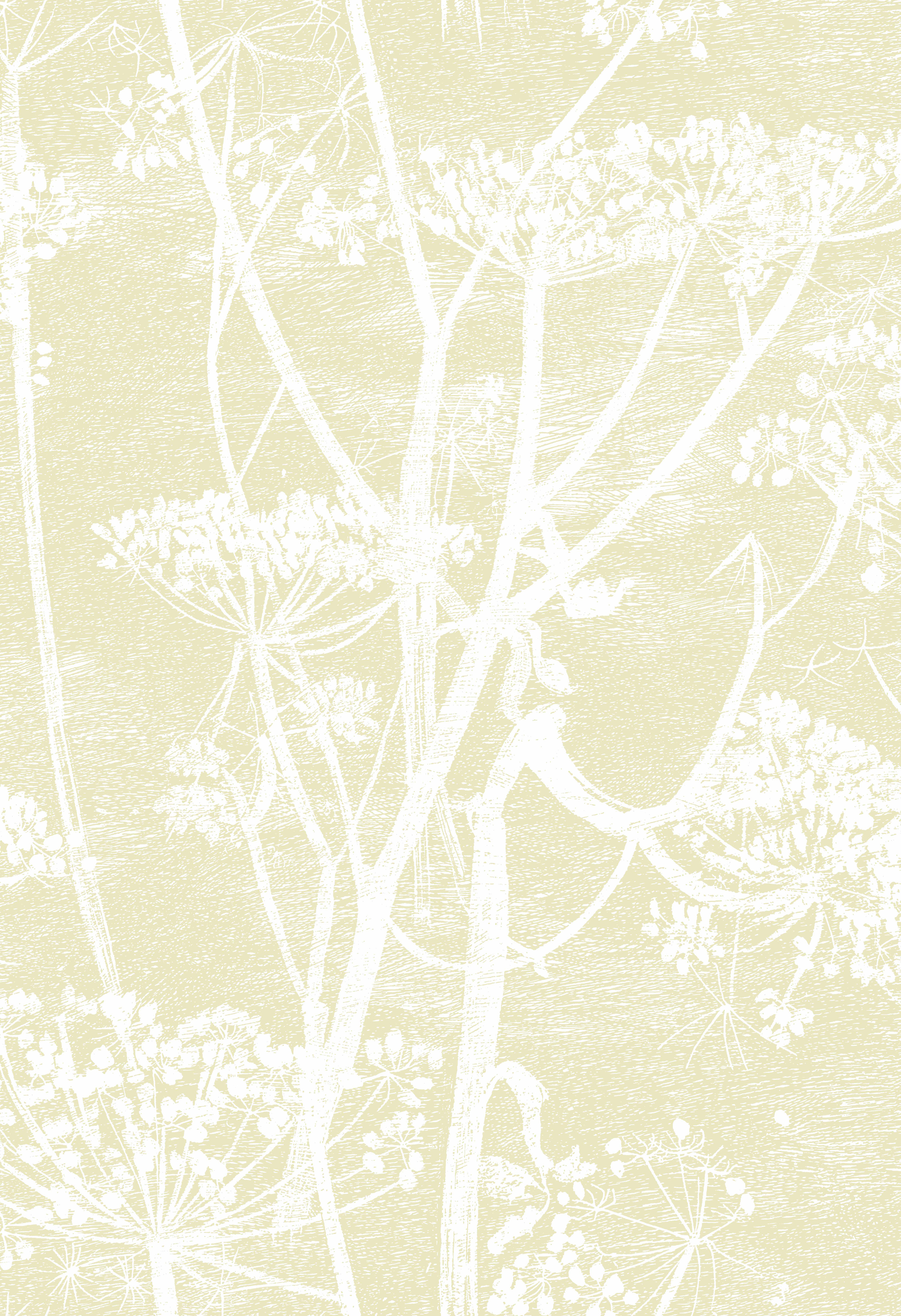 Cow Parsley - White & Yellow - Outlet