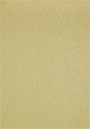 Spot on - Grøn - Outlet