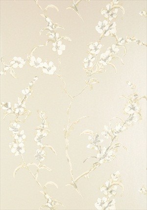 Japonica - Perlemor - Outlet