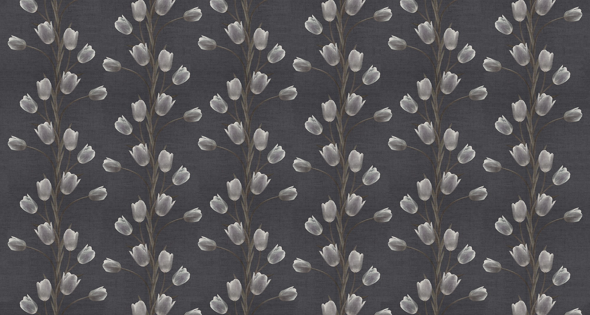 La Vie En Tulipe - Black