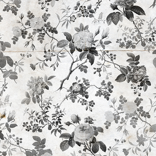 Rosegarden - Black