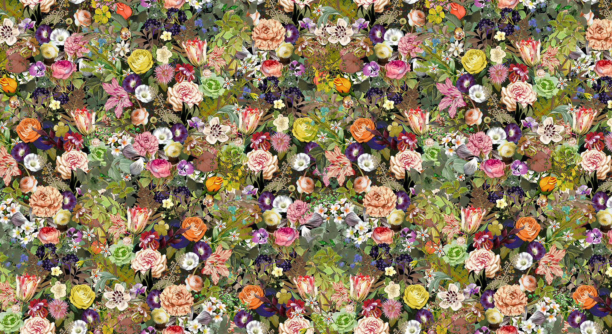 Meadow - Color