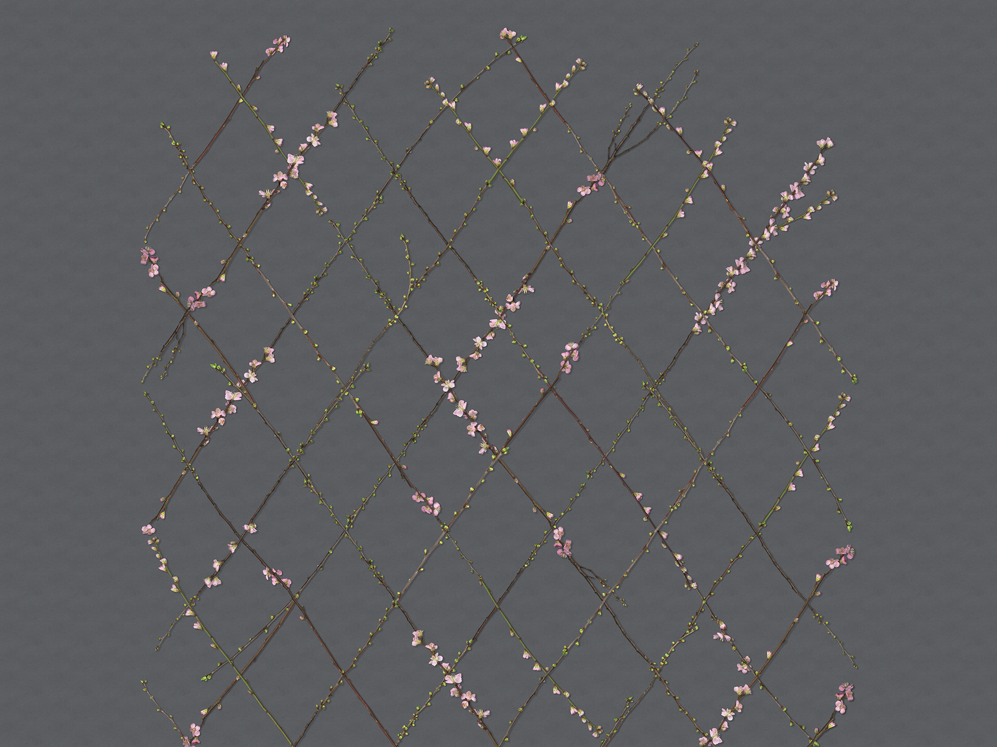 Winding Spring - Black