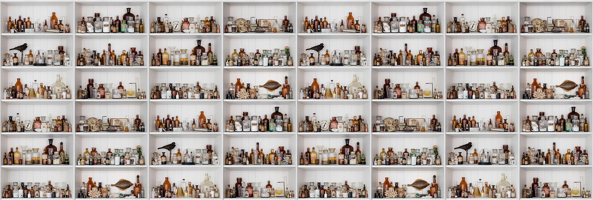 Cabinet of Curios