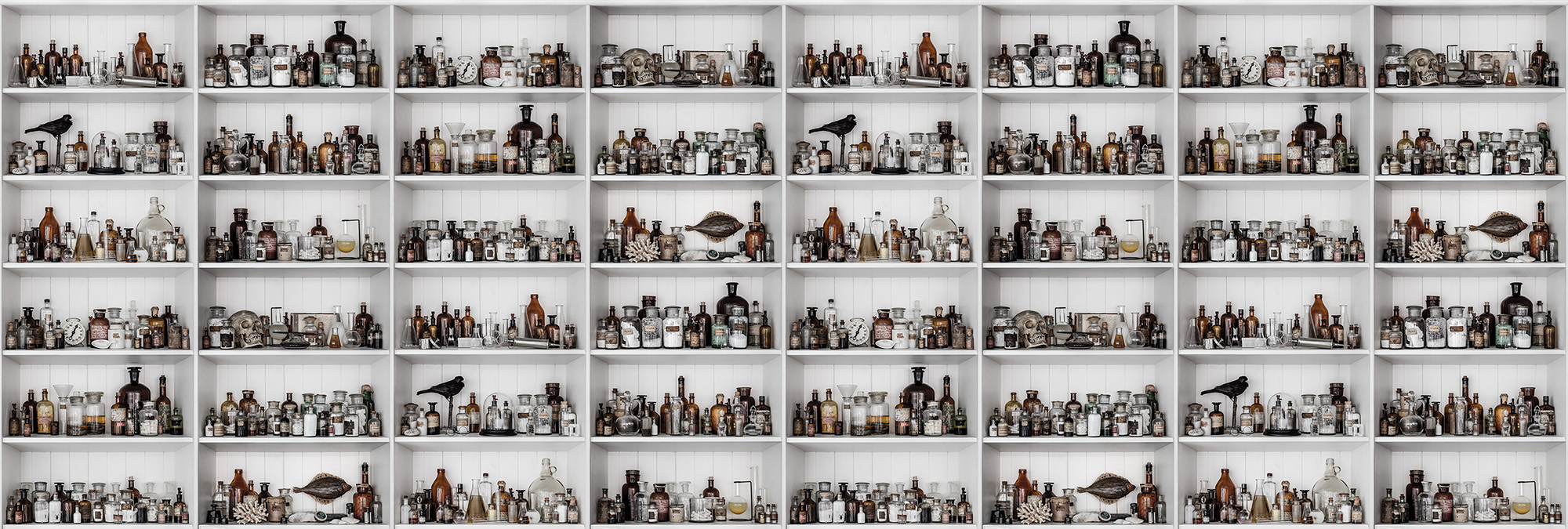 Cabinet of Curios, Raw