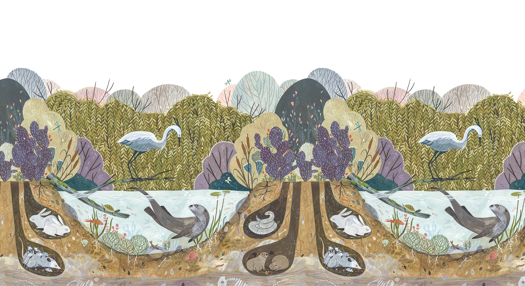Wild Willows