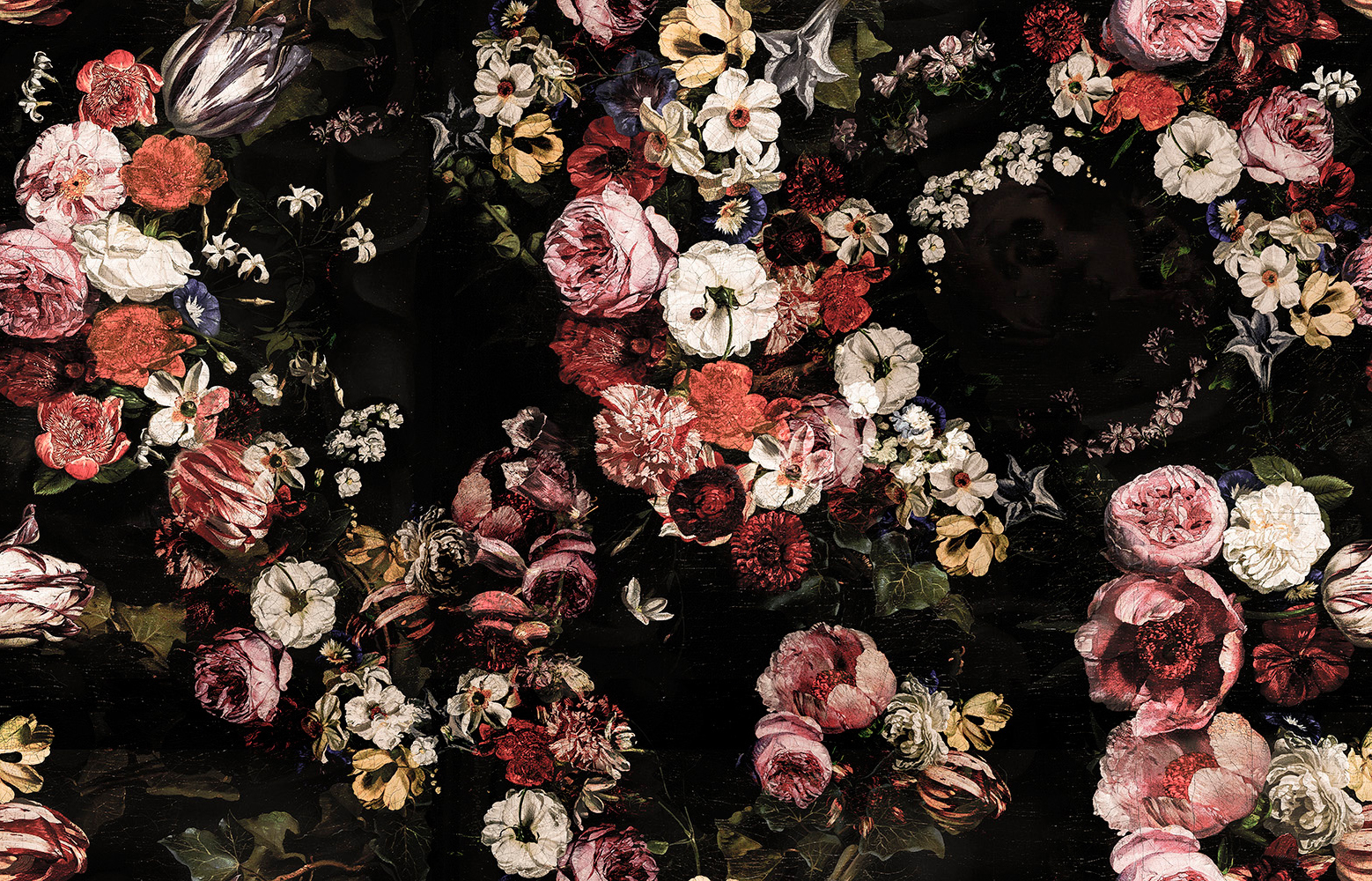 Briar Roses