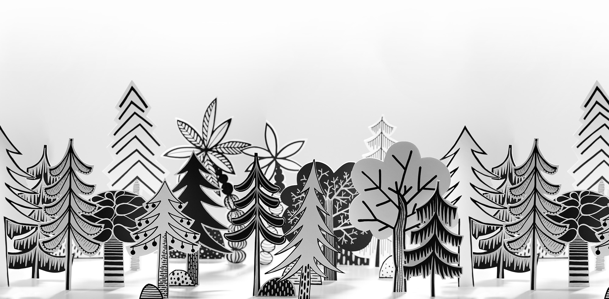 Nordic Valley