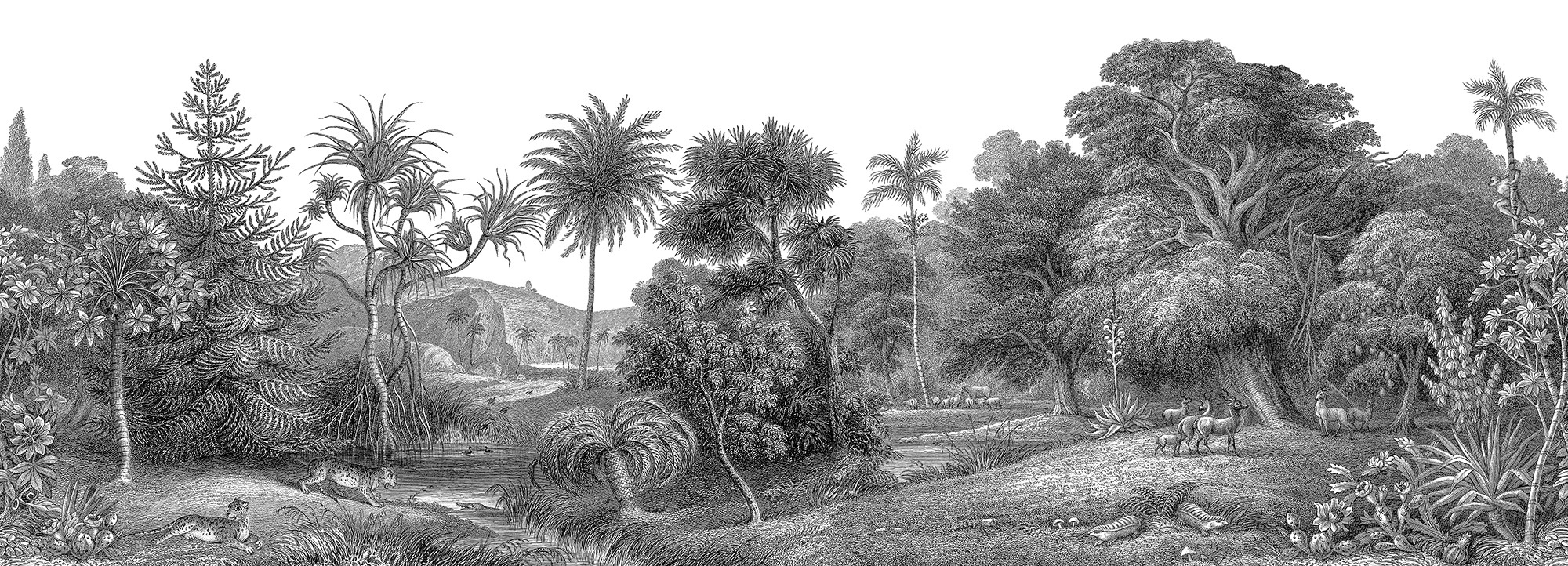 Jungle Land