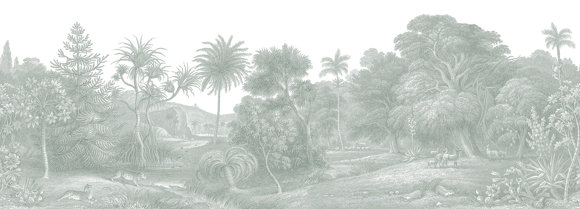 Jungle Land, Verdant