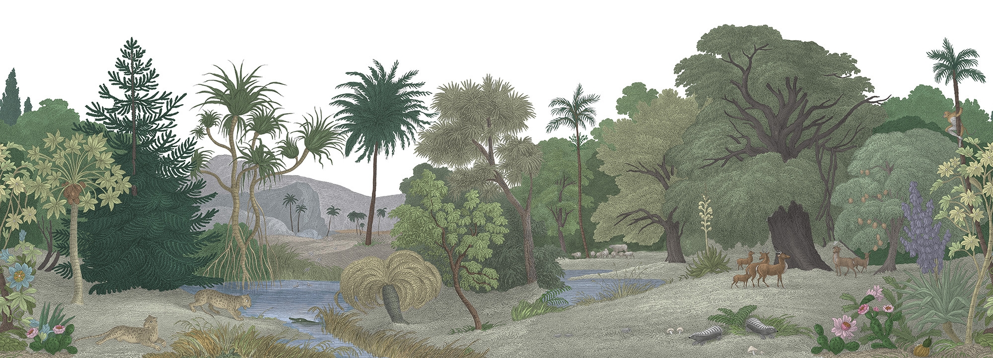 Jungle Land, Color