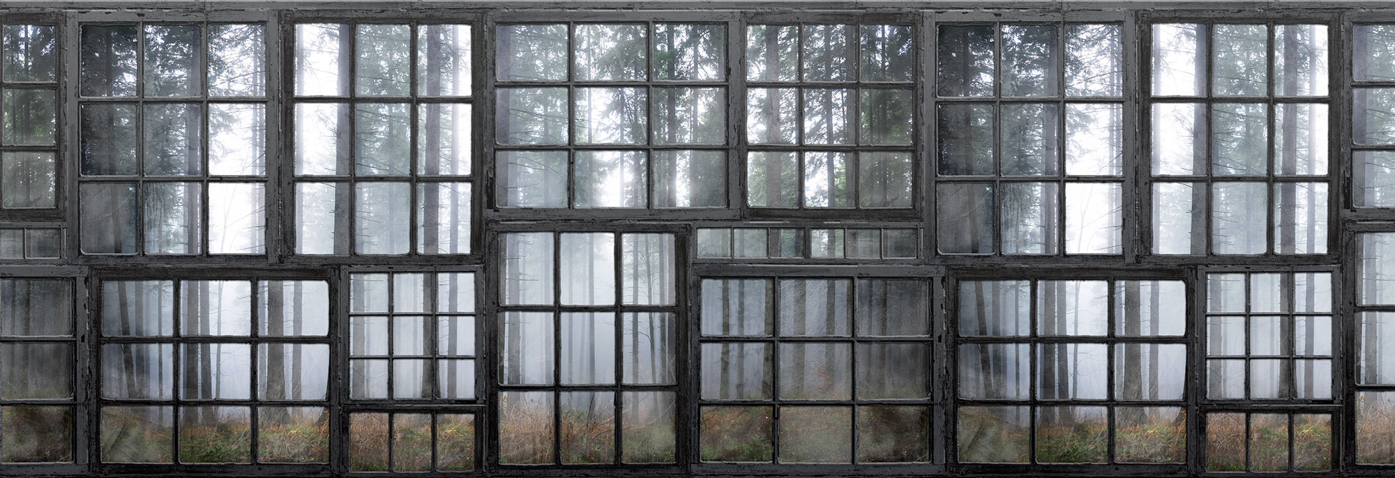 Cabin