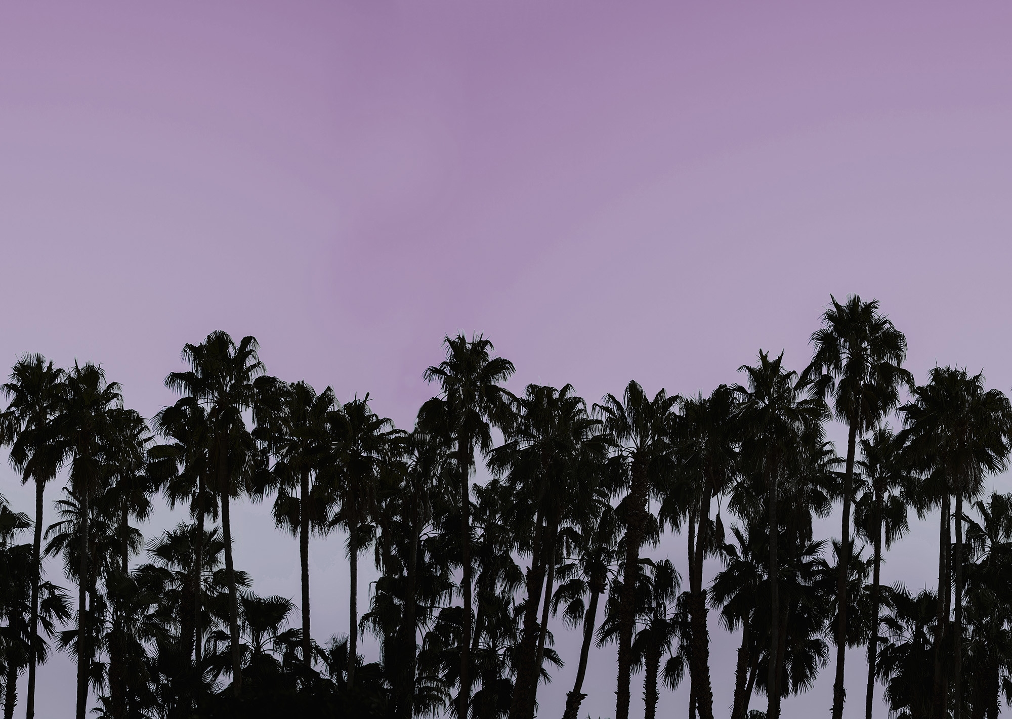 Riviera Daydream, Dusk