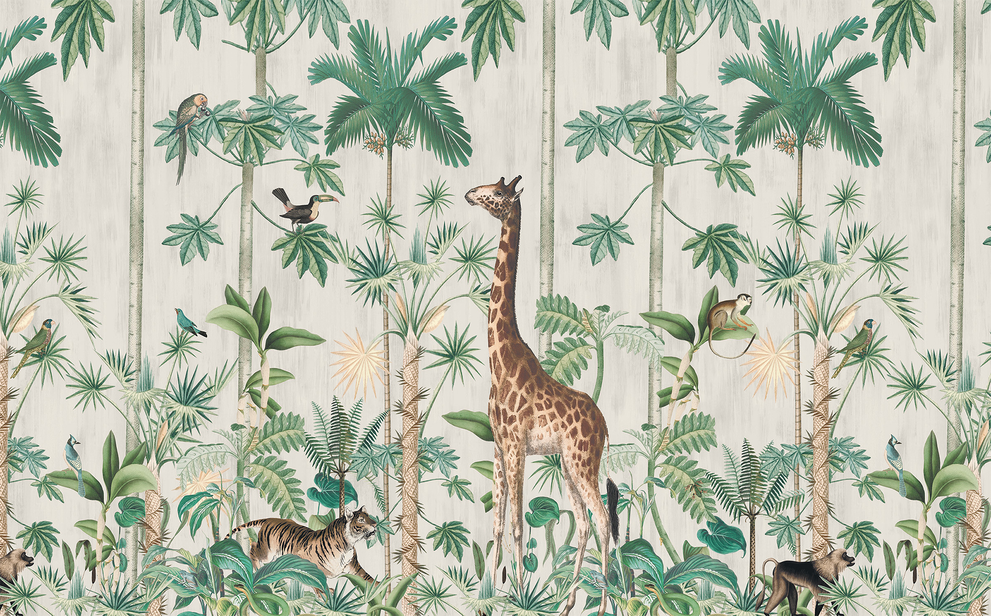 Giraffe's Stroll