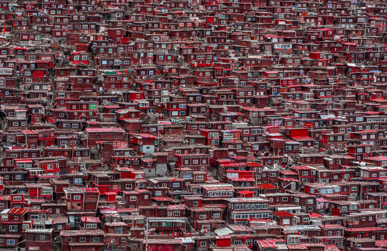 Billede af Red houses