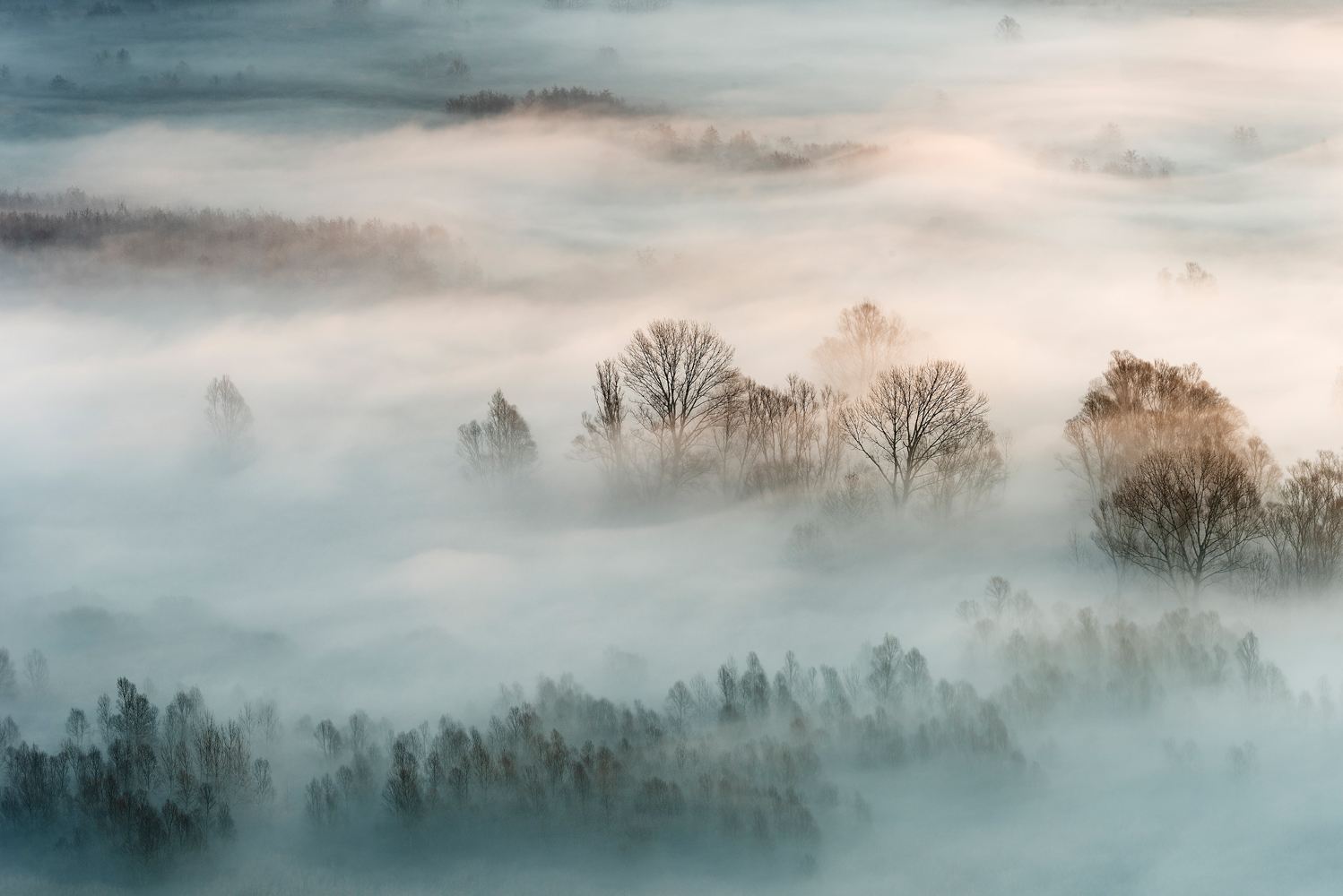 Billede af Winter fog