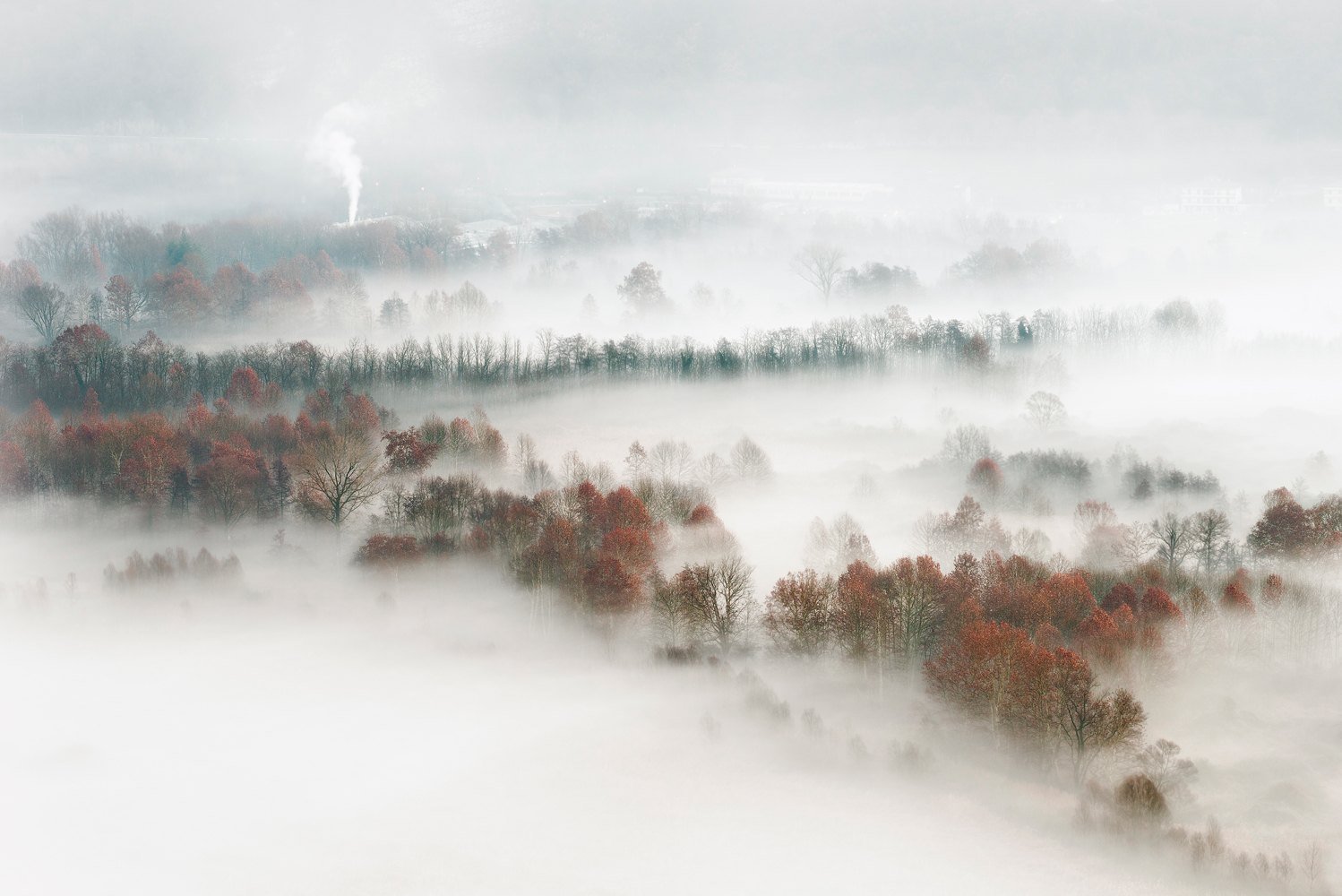 Billede af Factory Fog