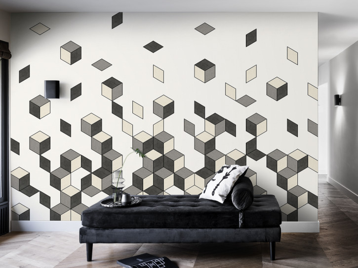 Falling Cube - Black & White