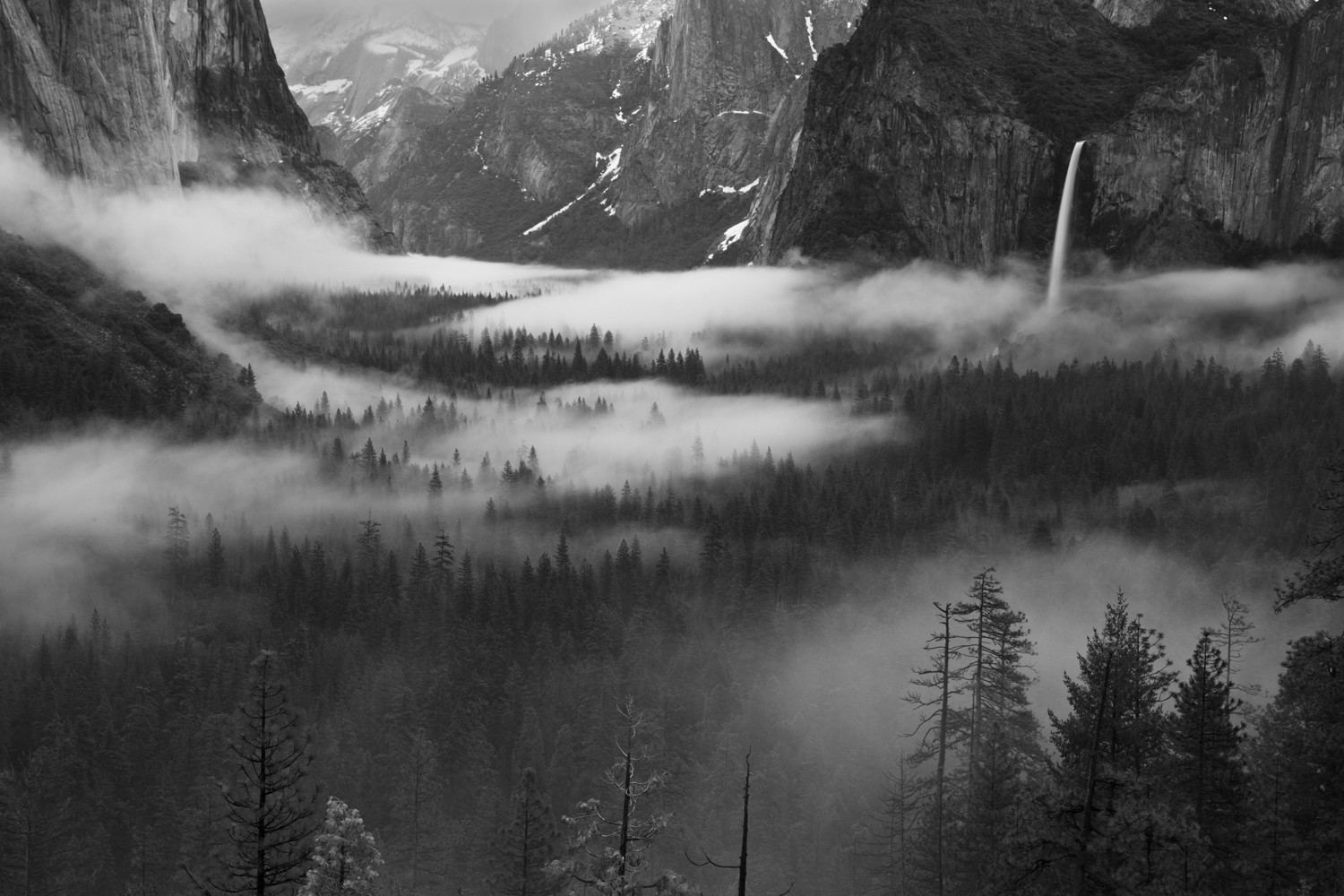 Billede af Fog Floating In Yosemite Valley