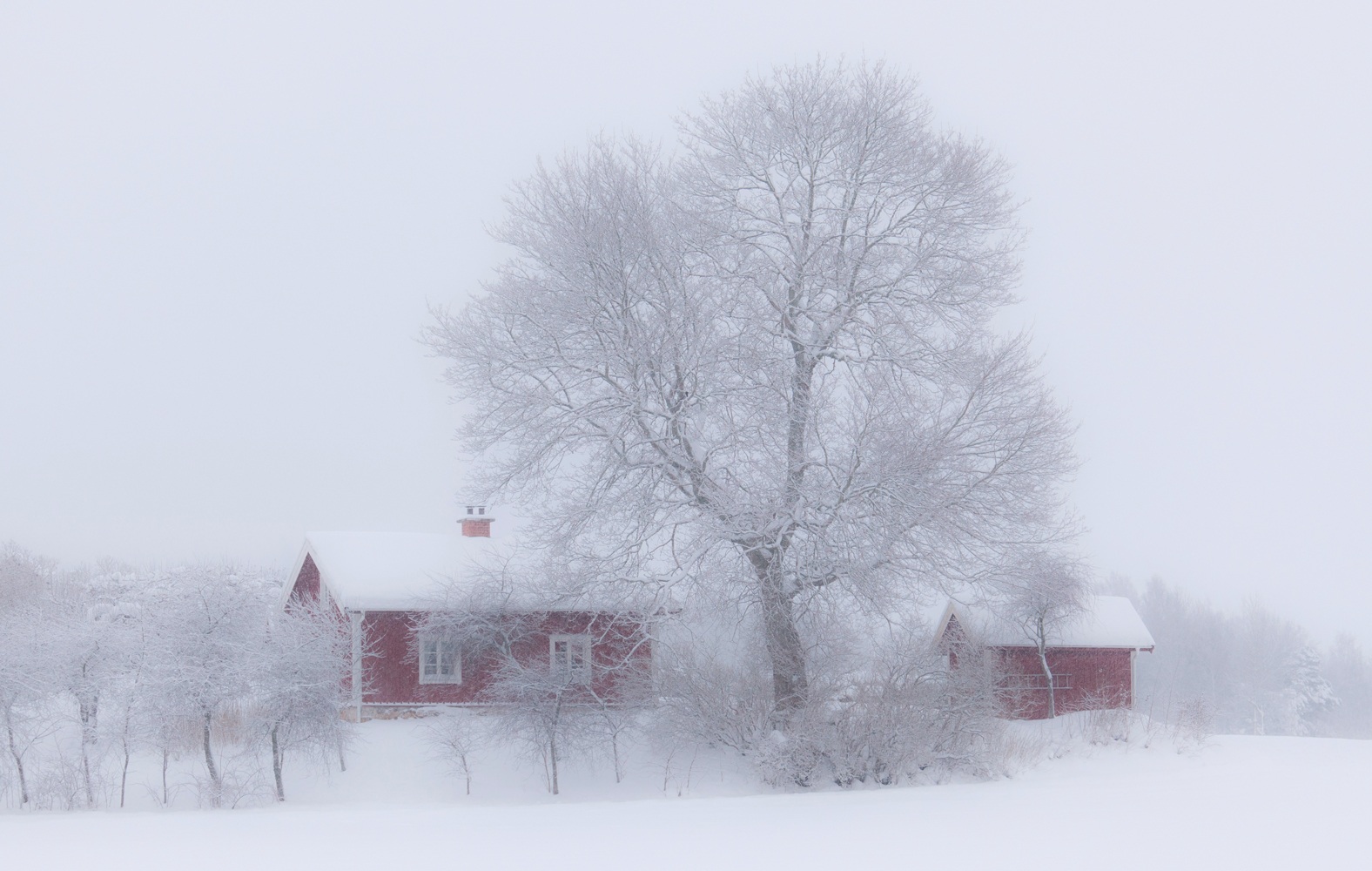 Se Winter idyll hos Picment.dk