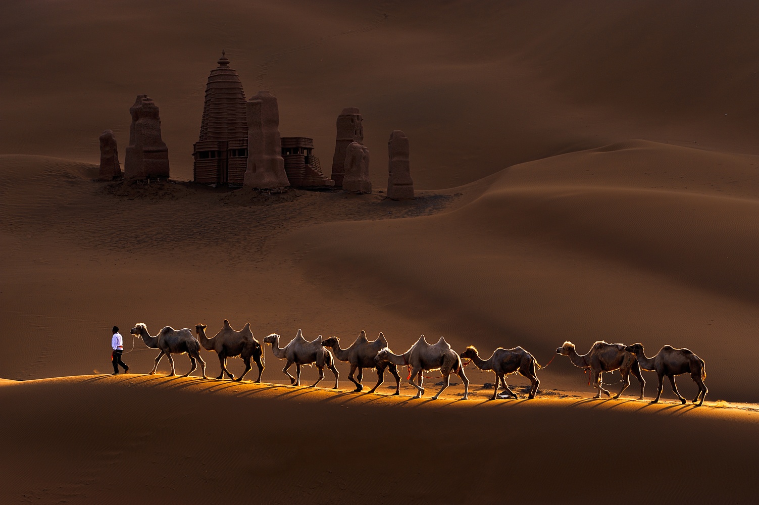 Billede af Castle and Camels