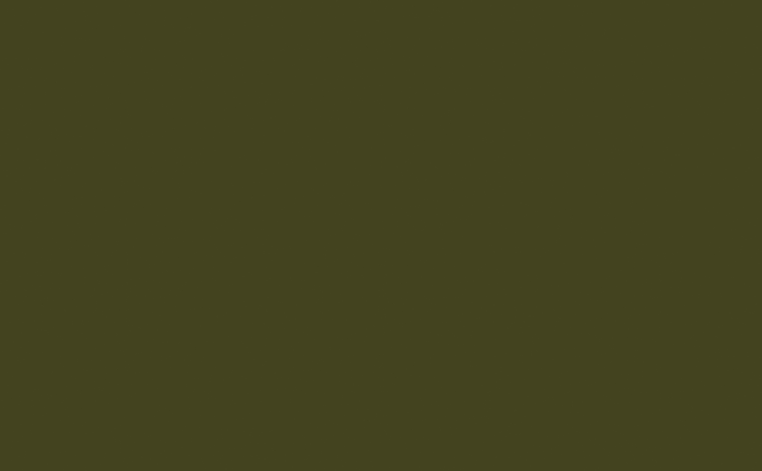 Olive Colour&trade; - Absolute Matt Emulsion - 2.5 L