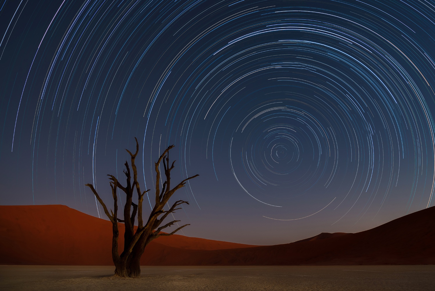 Billede af Star Trails of Namibia