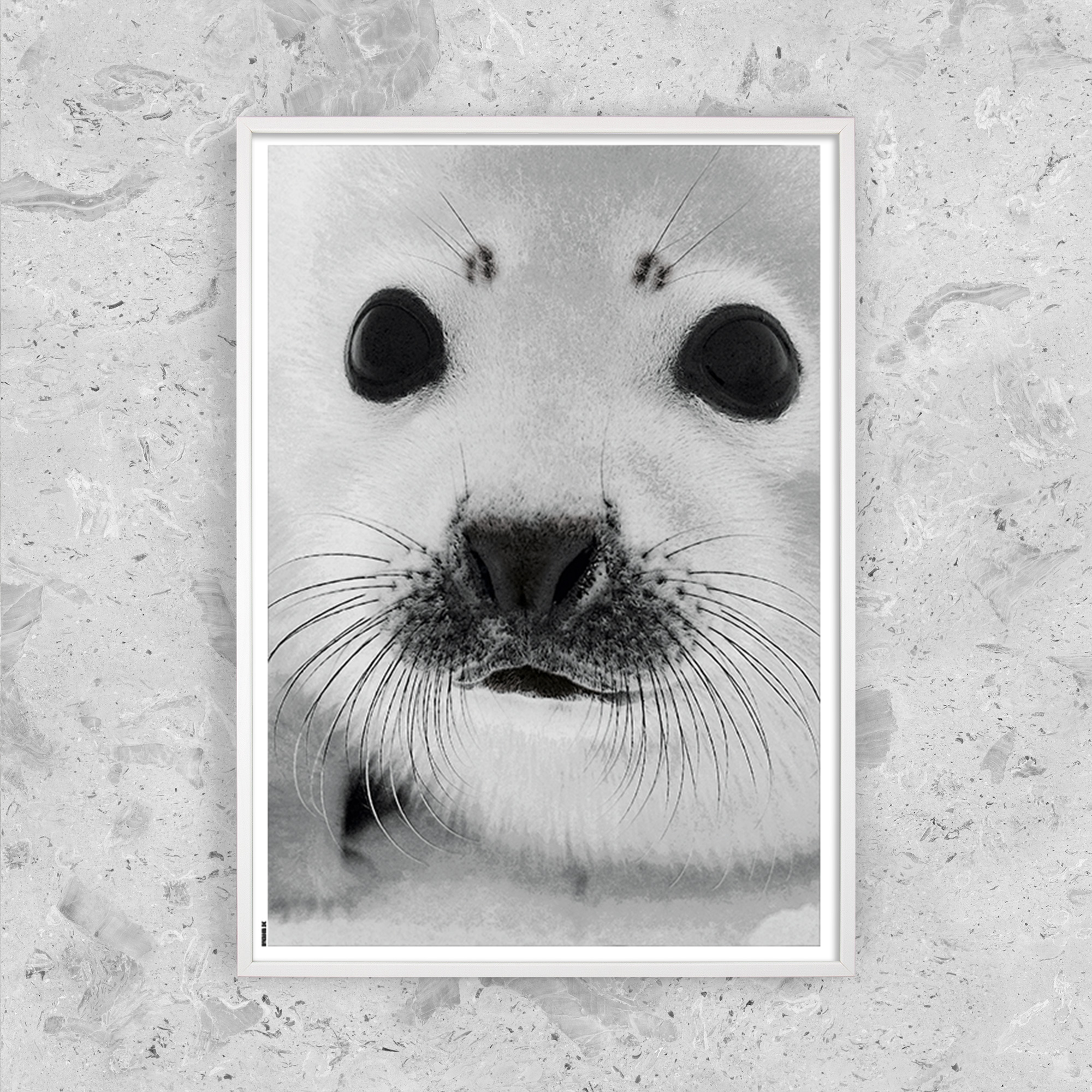 Billede af Baby Seal