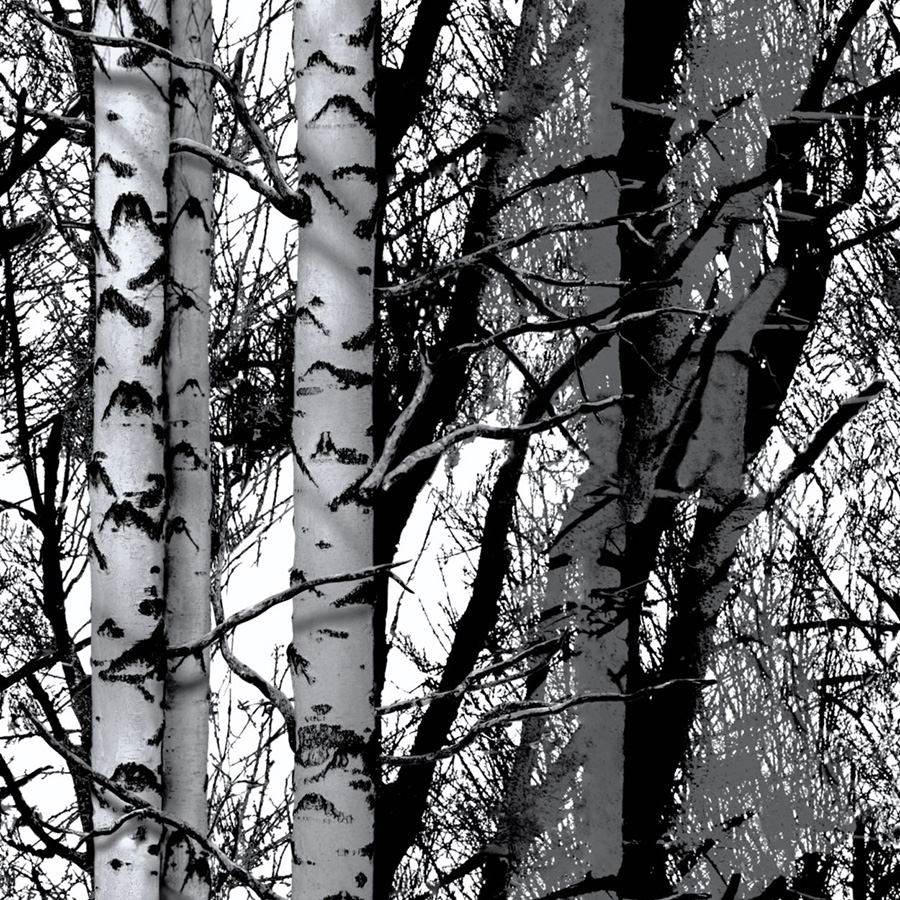 Billede af Mønstret folie-1,5 meter-45 cm-Birketræer - Blank