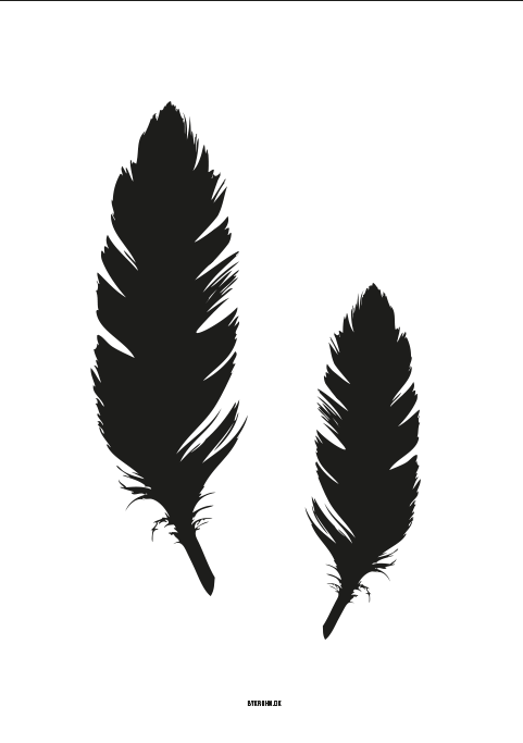 Feathers-A3
